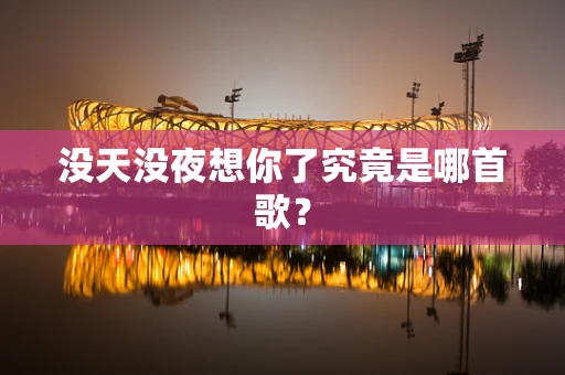 没天没夜想你了究竟是哪首歌？