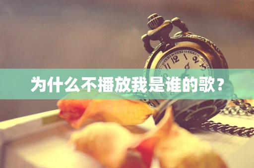 为什么不播放我是谁的歌？