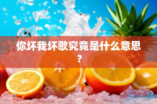 你坏我坏歌究竟是什么意思？