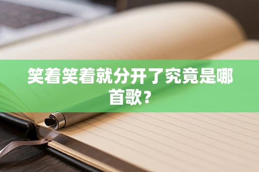 笑着笑着就分开了究竟是哪首歌？