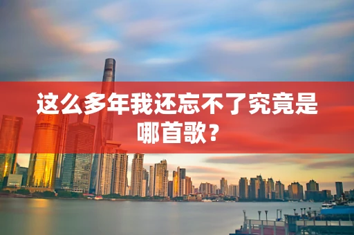 这么多年我还忘不了究竟是哪首歌？