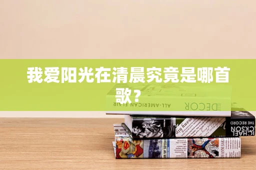 我爱阳光在清晨究竟是哪首歌？