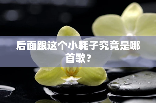 后面跟这个小耗子究竟是哪首歌？