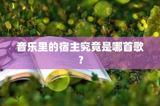 音乐里的宿主究竟是哪首歌？