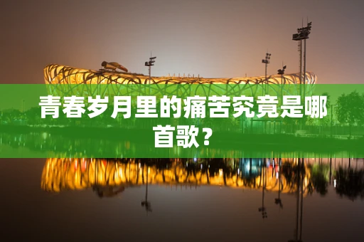 青春岁月里的痛苦究竟是哪首歌？
