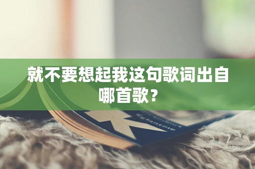 就不要想起我这句歌词出自哪首歌？
