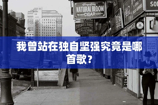 我曾站在独自坚强究竟是哪首歌？