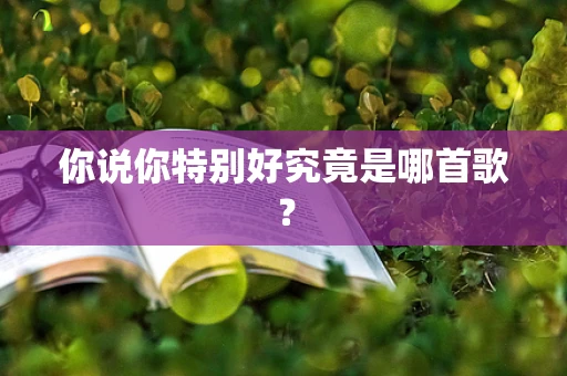 你说你特别好究竟是哪首歌？