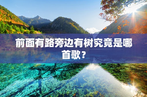 前面有路旁边有树究竟是哪首歌？