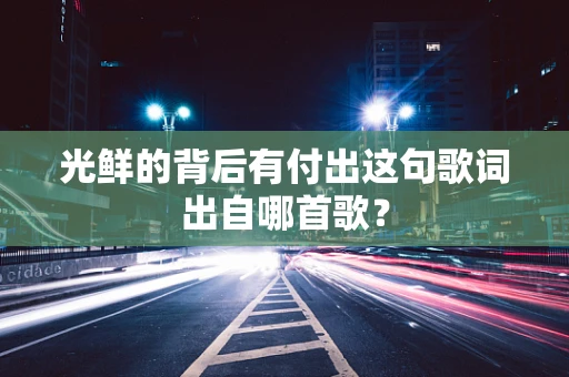 光鲜的背后有付出这句歌词出自哪首歌？