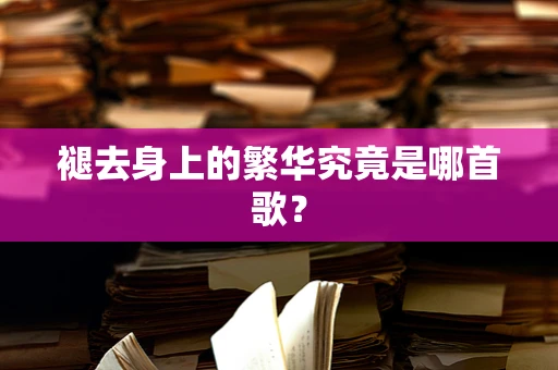 褪去身上的繁华究竟是哪首歌？