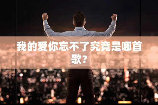 我的爱你忘不了究竟是哪首歌？