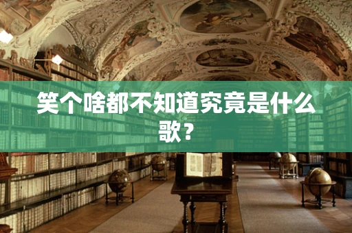 笑个啥都不知道究竟是什么歌？