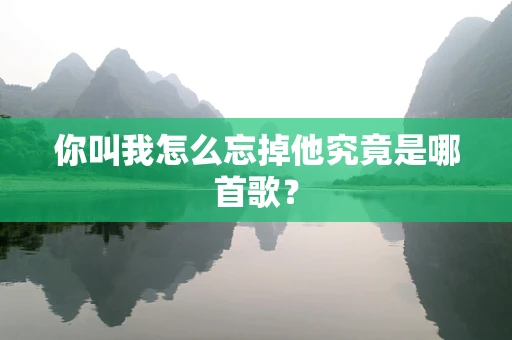 你叫我怎么忘掉他究竟是哪首歌？