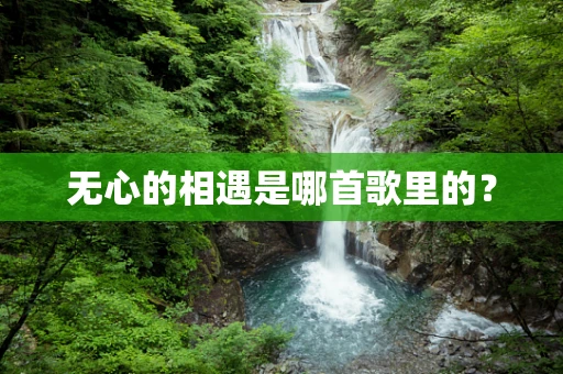 无心的相遇是哪首歌里的？