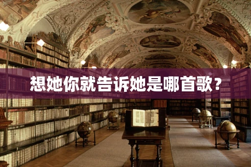 想她你就告诉她是哪首歌？
