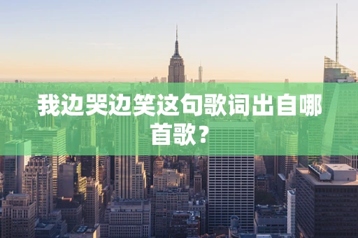 我边哭边笑这句歌词出自哪首歌？