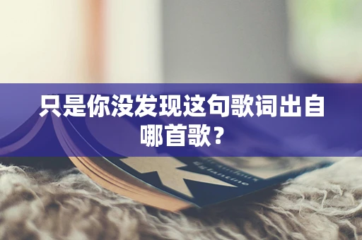 只是你没发现这句歌词出自哪首歌？