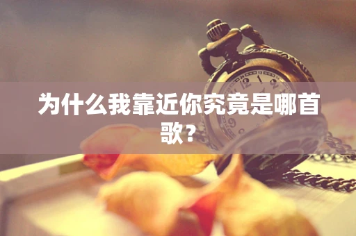 为什么我靠近你究竟是哪首歌？