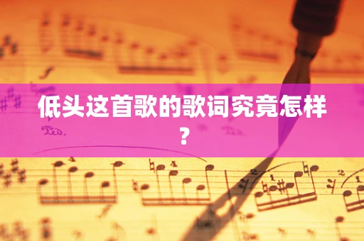 低头这首歌的歌词究竟怎样？