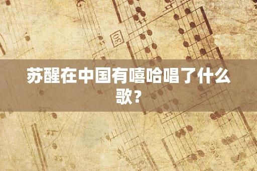 苏醒在中国有嘻哈唱了什么歌？