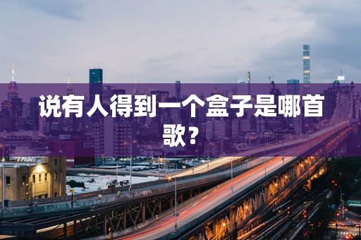 说有人得到一个盒子是哪首歌？
