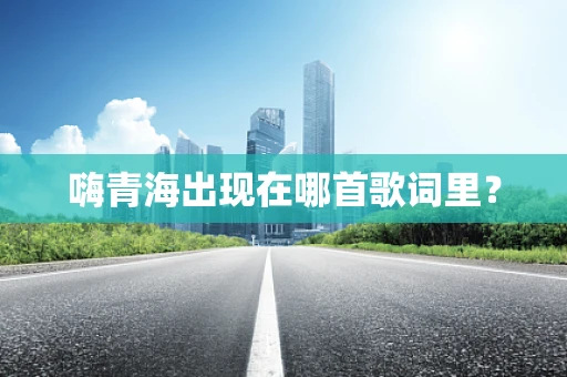 嗨青海出现在哪首歌词里？