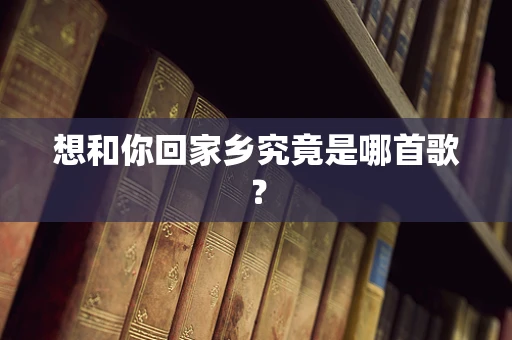 想和你回家乡究竟是哪首歌？