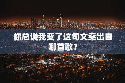 你总说我变了这句文案出自哪首歌？