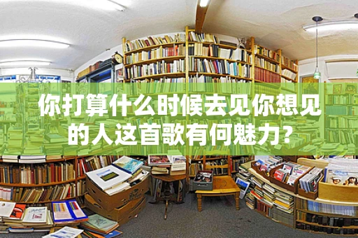 你打算什么时候去见你想见的人这首歌有何魅力？
