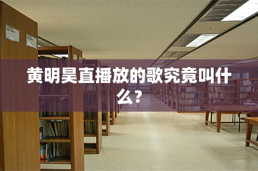 黄明昊直播放的歌究竟叫什么？