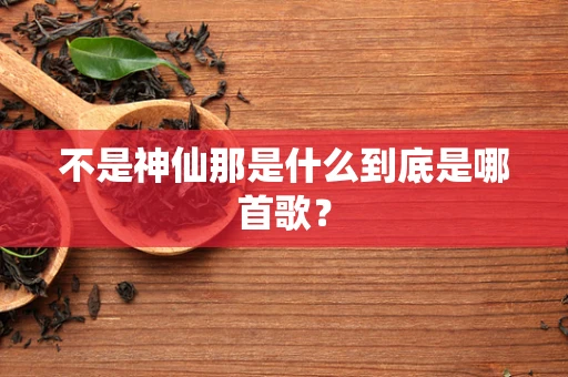 不是神仙那是什么到底是哪首歌？