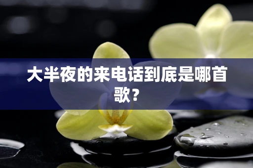 大半夜的来电话到底是哪首歌？