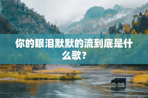 你的眼泪默默的流到底是什么歌？