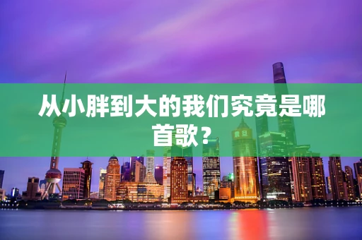 从小胖到大的我们究竟是哪首歌？