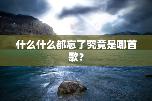 什么什么都忘了究竟是哪首歌？