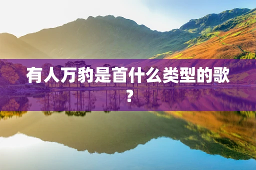 有人万豹是首什么类型的歌？
