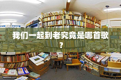 我们一起到老究竟是哪首歌？