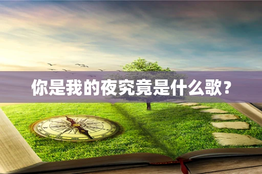 你是我的夜究竟是什么歌？