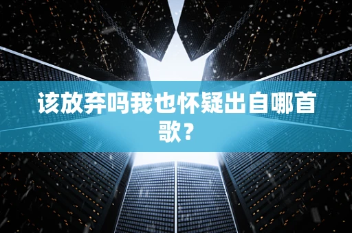 该放弃吗我也怀疑出自哪首歌？