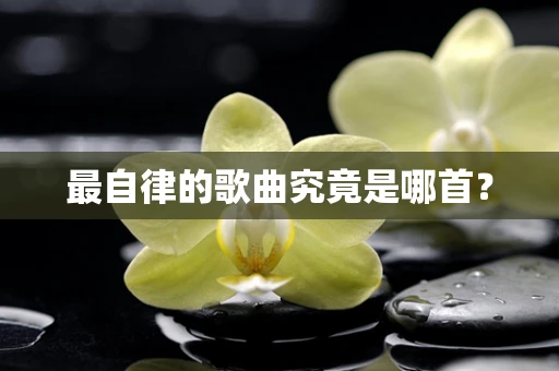 最自律的歌曲究竟是哪首？