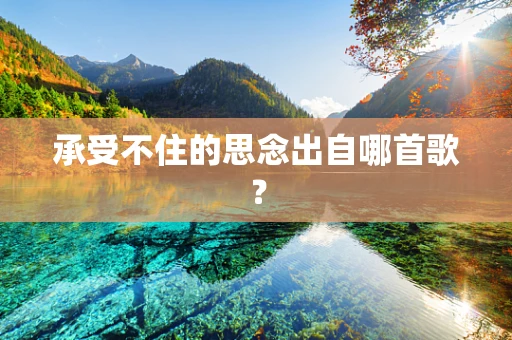 承受不住的思念出自哪首歌？