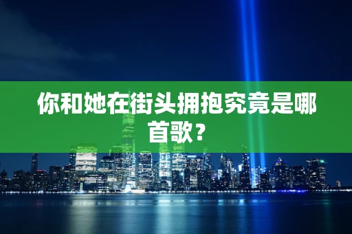 你和她在街头拥抱究竟是哪首歌？