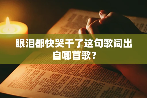 眼泪都快哭干了这句歌词出自哪首歌？
