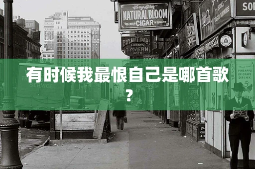 有时候我最恨自己是哪首歌？