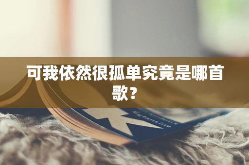 可我依然很孤单究竟是哪首歌？