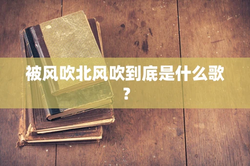 被风吹北风吹到底是什么歌？