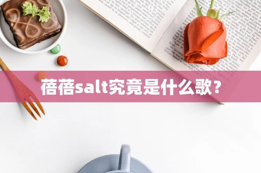 蓓蓓salt究竟是什么歌？