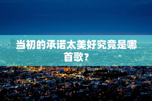当初的承诺太美好究竟是哪首歌？