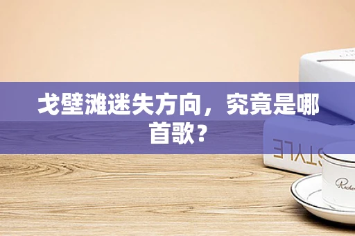 戈壁滩迷失方向，究竟是哪首歌？